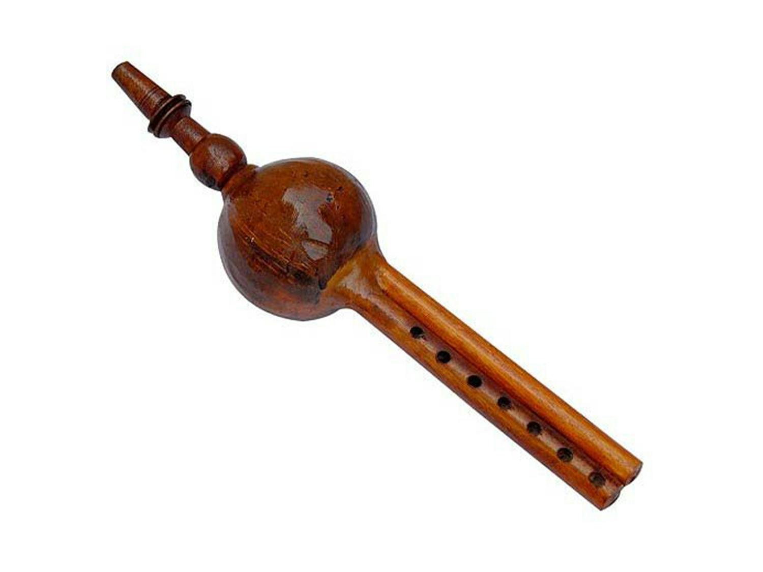 pungi indian musical instrument