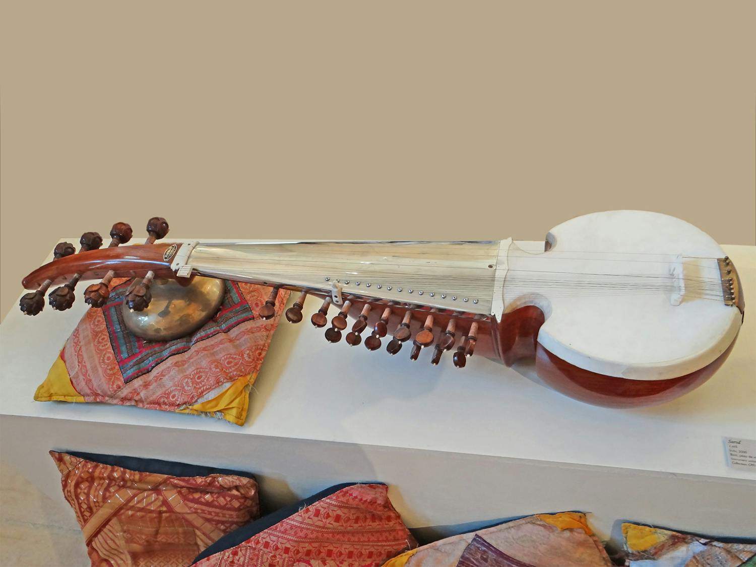 sarod indian musical instrument
