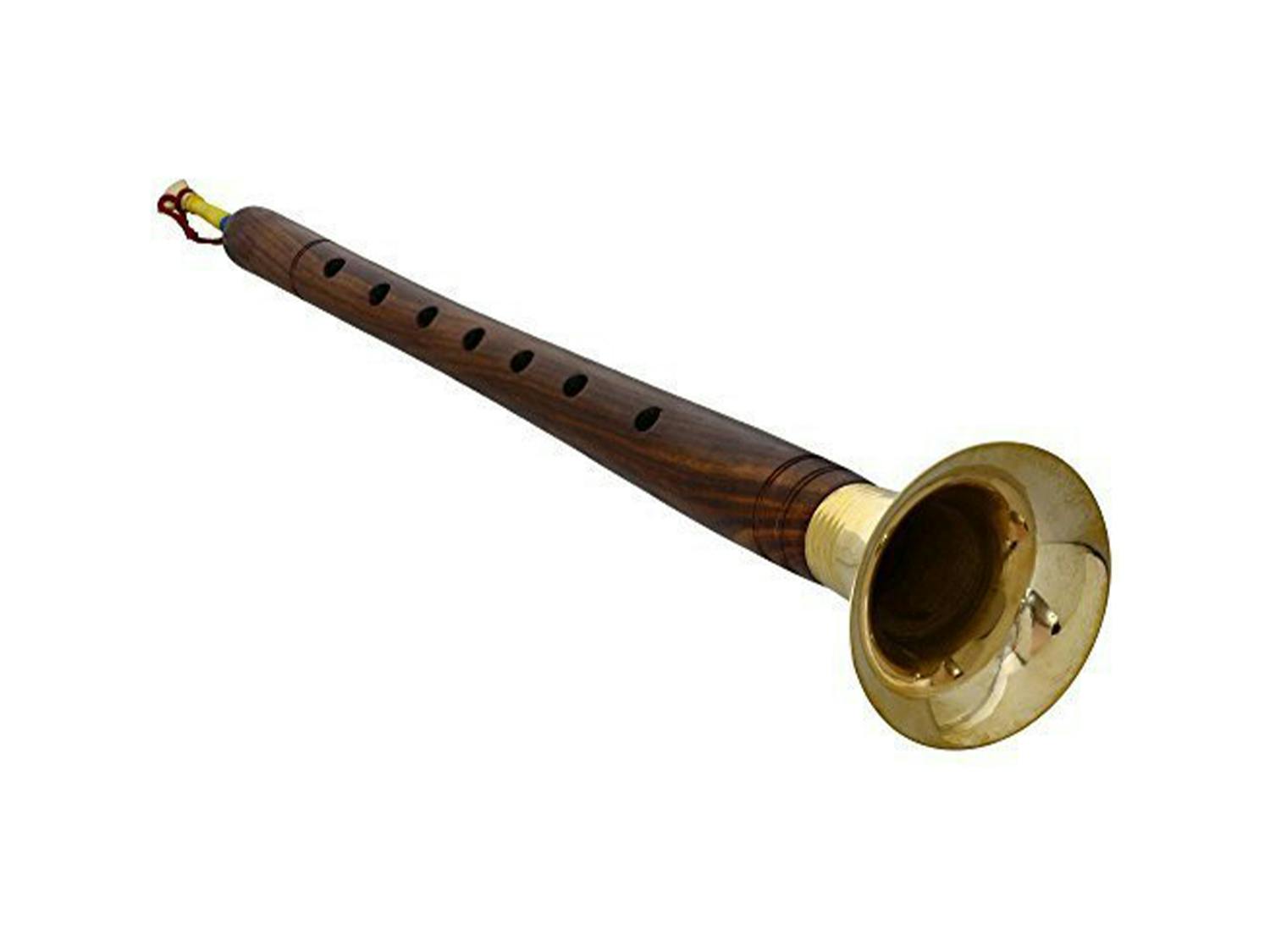 shehnai indian musical instrument