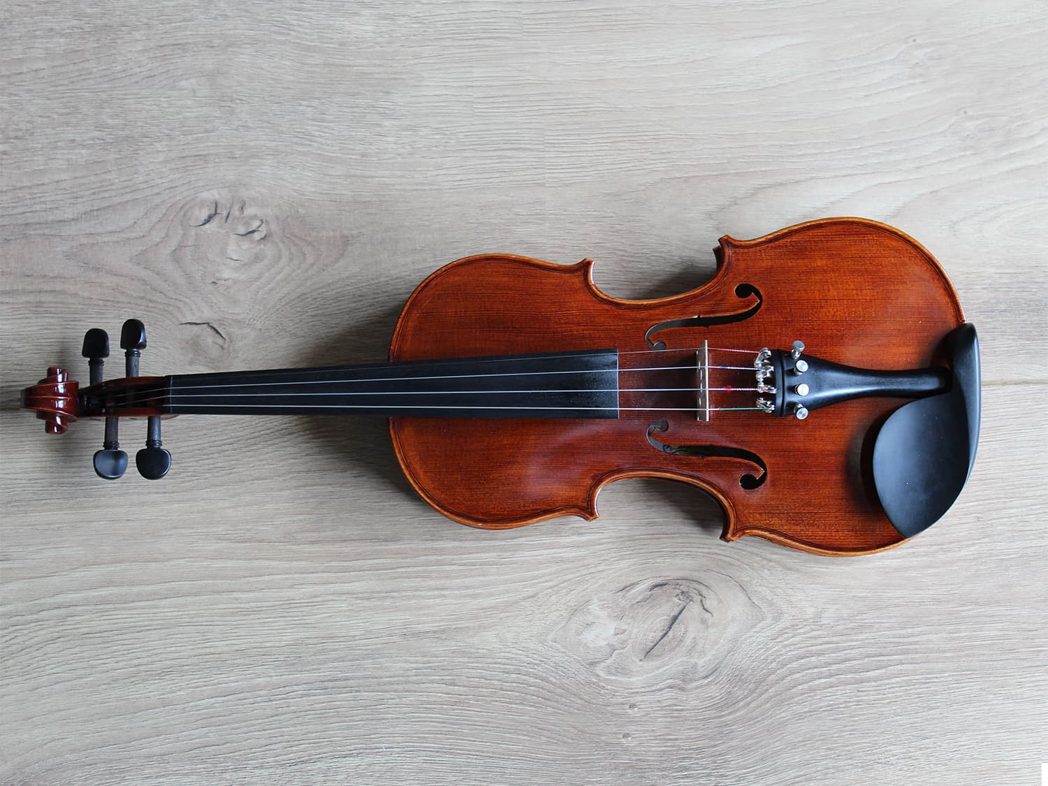 violin indian musical instrument